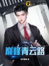 巅峰青云路